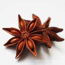 Wholesale AD Process Chinese Ba Jiao Dried Star Anise